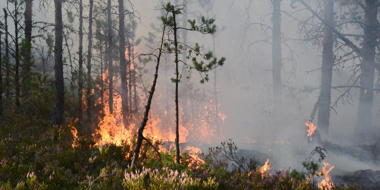 180723_Skogsbrand i Sverige_Mostphotos Larm-Söderhamn_2x1.jpg