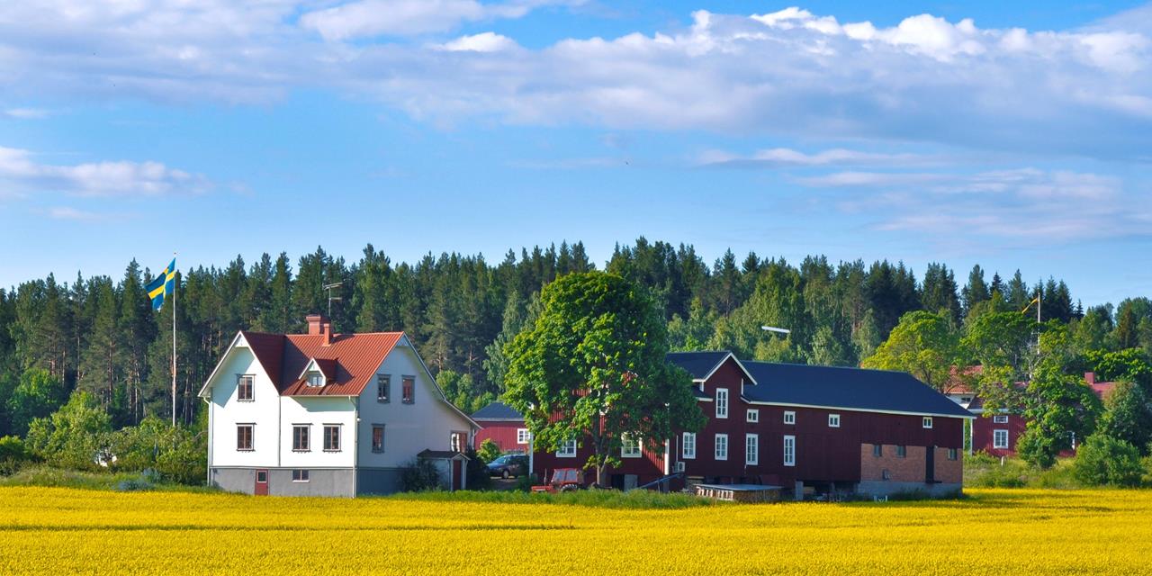 Ett hus på landet Vit hus vid en åker