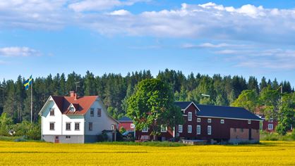 Vit hus vid en åker