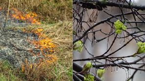220427_Lokala variationer brandrisk_foto Mostphotos_16x9.jpg